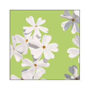 �L�����o�X�A�[�g �C���e���A �� �A�� �v�����g ������� �Ǌ|�� CANVAS Plant �V�o�U�N�� S30 No.43166