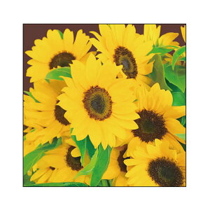 �L�����o�X�A�[�g �C���e���A �� �A�� �v�����g ������� �Ǌ|�� CANVAS Plant �q�}���� S30 No.43929