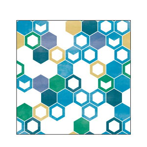 �L�����o�X�A�[�g �C���e���A �a�� �a���_�� �`���� ������� �Ǌ|�� CANVAS Pattern �T�b(�u���[) S30 No.43190