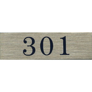 TCv[g hAv[g gC ։  I[v |Xg  XeX ^CvA ST-A 009 301