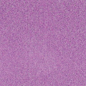 J[{[h X`{[h 5mm 3X6  sN o Ob^[{[h Ae 5GB-3X6-PK  ޗ  