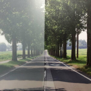 KXtB 3M t@T tXg/}bg SH2MAML ~L[zCg 1524mm×1mP ؔ ډB V[g DIY