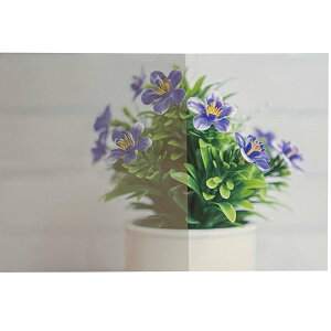 KXtB TQc ՔM CLEAS ՔM GF1407-2 rXg65 1250mm×ؔ ՔMV[g DIY