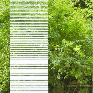 KXtB 3M t@T Of[V SH2FGVN ׃lV 1270mm×30m ډB V[g DIY