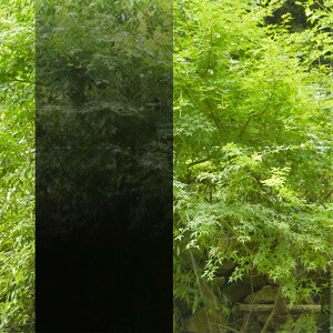 KXtB 3M t@T Of[V SH2BKIM C~i ubN 1270mm×1mP ؔ ډB V[g DIY