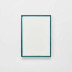 z z t[ A~ A~t[ AN Ai fbTz T25 300p GhO[ i  ǖ  CeA