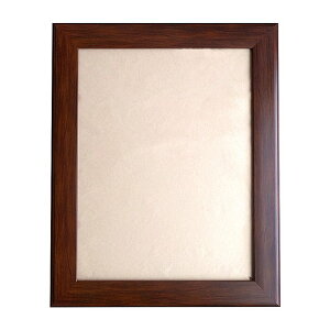 額縁 額 フレーム アルミ アルミフレーム アクリル アルナ デッサン額 APS-01 B4 くるみ 作品 壁 壁面 おしゃれ インテリア