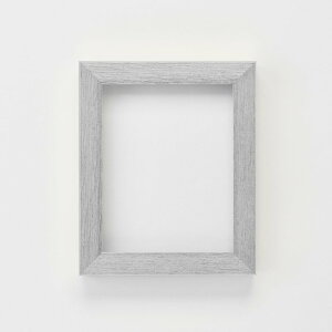 油額 ポスターパネル ポスターフレーム 額縁 油絵 立体額 アクリル アルナ ダブルフレーム 面金なし B2 白銀色 壁 壁面 インテリア おしゃれ