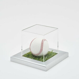 RNVP[X AN 싅 x[X{[ ^CvFlH t[FCFVo[ TC{[ fBXvC [  