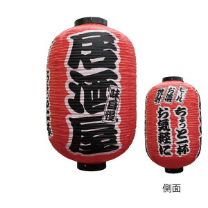  傤  Ղ čՂ    15 3ʃ^Cv / No.25347 420×H700mm