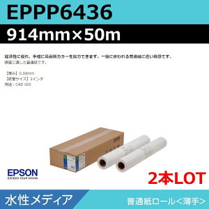 CNWFbg[ 唻v^[p Gv\  EPPP6436 ʎ[聄 914mm×50mi2{jvb^[p