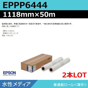 CNWFbg[ 唻v^[p Gv\  EPPP6444 ʎ[聄 1118mm×50mi2{jvb^[p
