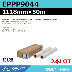 CNWFbg[ 唻v^[p Gv\  EPPP9044 ʎ[聄 1118mm×50mi2{jvb^[p