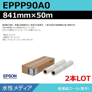CNWFbg[ 唻v^[p Gv\  EPPP90A0 ʎ[聄 841mm×50mi2{jvb^[p