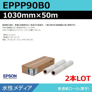 CNWFbg[ 唻v^[p Gv\  EPPP90B0 ʎ[聄 1030mm×50mi2{jvb^[p