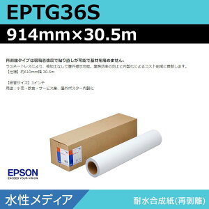 インクジェットロール紙 大判プリンター用紙 エプソン 純正 EPTG36S 耐水合成紙再剥離 914mm×30.5m