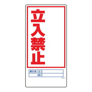 }KW PP 1mm 300×600 pR l HŔ HpŔ W Ŕ ֎~ Spi ۈpi GEM-6 ֎~