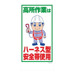 }KW PP 1mm 300×600 pR l HŔ HpŔ W Ŕ Spi ۈpi GEM-70 n[lX^Sюgp