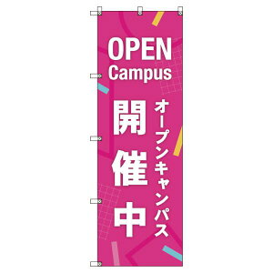̂ڂ I[vLpXJÒ_sN W600×H1800mm TCVeB IWifUC T-00047