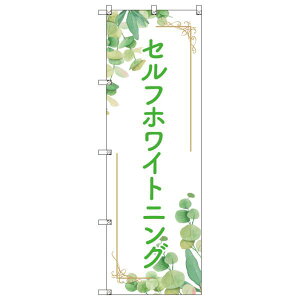 ̂ڂ ZtzCgjO2 W600×H1800mm TCVeB IWifUC T-00218