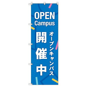 ̂ڂ I[vLpXJÒ_ W600×H1800mm TCVeB IWifUC T-00337