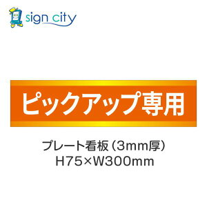ԏ v[gŔ p[LO W H75XW300mm 027_sbNAbvp_IW