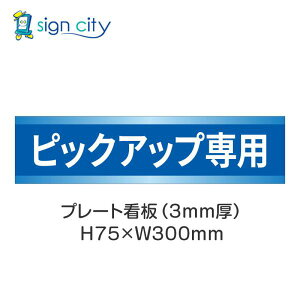 ԏ v[gŔ p[LO W H75XW300mm 027_sbNAbvp_