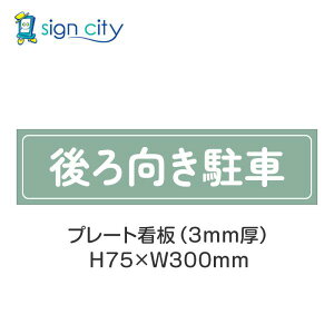 ԏ v[gŔ p[LO W H75XW300mm 025__Z[W