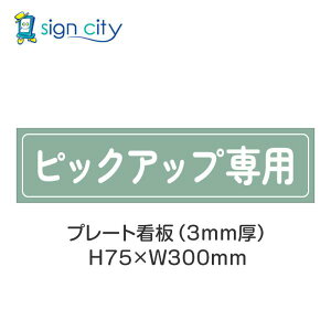 ԏ v[gŔ p[LO W H75XW300mm 027_sbNAbvp_Z[W