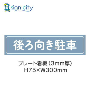 ԏ v[gŔ p[LO W H75XW300mm 025__pE_[u[