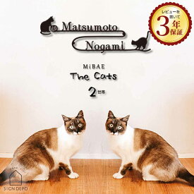 【ネコの二世帯専用デザイン】 表札 ステンレス 戸建 切り文字 アイアン調 MiBAE The Cats 二世帯 2世帯 おしゃれな猫（ネコ）のデザイン表札 40センチ 切り抜き レーザーカット ねこ アルファベット 黒 カフェ風 夫婦 別姓 ニ世帯