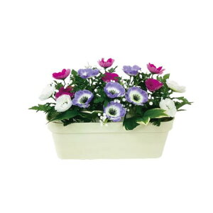 ԃ~jv^[ All (935-33) SpiEHŔ ۈpiEHpi HpK[htFXES