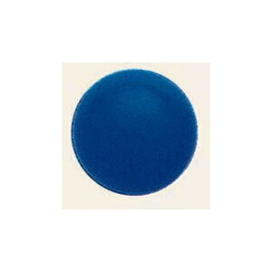 fRo[ (10) 13cm  (SAGD6208) Cxgpi o[EDEwEKX