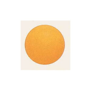 fRo[ (10) 13cm Z (SAGD6215) Cxgpi o[EDEwEKX