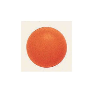 fRo[ (10) 18cm IW (SAGD6318) Cxgpi o[EDEwEKX