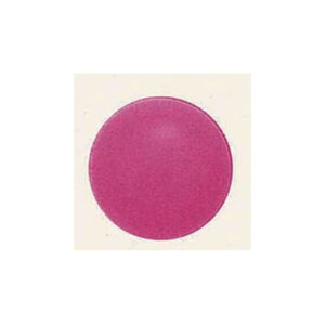 fRo[ (10) 13cm sN (SAGD6211) Cxgpi o[EDEwEKX