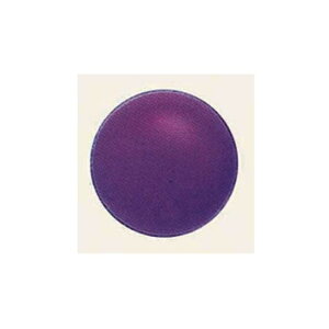 fRo[ (10) 30cm  (SAGD6524) Cxgpi o[EDEwEKX