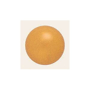 fRo[ (10) 13cm  (SAGD6214) Cxgpi o[EDEwEKX