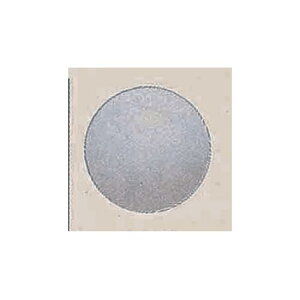 fRo[ (10) 23cm  (SAGD6456) Cxgpi o[EDEwEKX