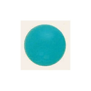 fRo[ (10) 30cm Γ (SAGD6504) Cxgpi o[EDEwEKX