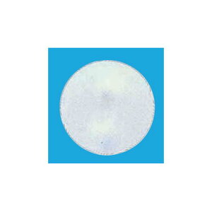 fRo[p[ (10) 13cm p[ (SAGD6250) Cxgpi o[EDEwEKX