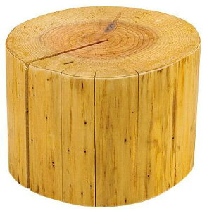 YEۑfBXvC a (W45033) rbtF T_{EEؐM