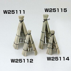 C͂ (W25115) o _EE΁Eᏼ