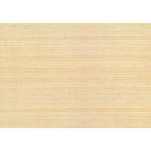 ʃ~Eoؕ~ (100) 18x12.5cm (W66704) ~E| FTaE㎆Ȇ ~