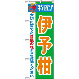 のぼり旗 特産!伊予柑 (21481) ネコポス便 果物・フルーツ その他果物