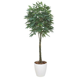 光触媒 人工観葉植物 パキラ 2.0 (高さ200cm) 店舗用品 光触媒 人工観葉植物・造花・フェイクグリーン フロア(鉢型)用 165cm以上