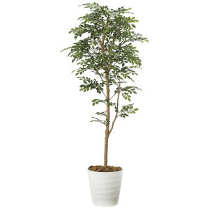 ���G�} �l�H�ϗt�A�� ���� �g�l���R 1.6 (����160cm) (2107P320) �X�ܗp�i ���G�} �l�H�ϗt�A���E���ԁE�t�F�C�N�O���[�� �t���A(���^)�p�l�H�ϗt�A�� 125�`160cm
