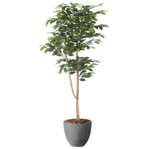 ���G�} �l�H�ϗt�A�� ���� �i�`�������x���W���~��1.6 (����160cm) (2401A500) �X�ܗp�i ���G�} �l�H�ϗt�A���E���ԁE�t�F�C�N�O���[�� �t���A(���^)�p�l�H�ϗt�A�� 125�`160cm