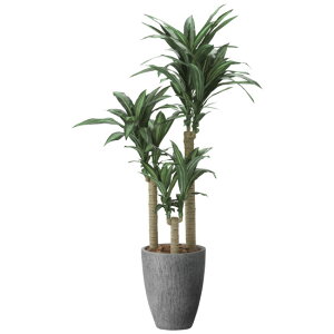 ���G�} �l�H�ϗt�A�� ���� �i�`�������K���̖�1.65 (����165cm) (2502R660) �X�ܗp�i ���G�} �l�H�ϗt�A���E���ԁE�t�F�C�N�O���[�� �t���A(���^)�p�l�H�ϗt�A�� 165cm�ȏ�