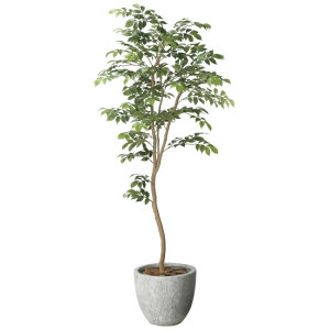 ���G�} �l�H�ϗt�A�� ���� �i�`�������}�E���e���A�b�V��1.6 (����160cm) (2618A550) �X�ܗp�i ���G�} �l�H�ϗt�A���E���ԁE�t�F�C�N�O���[�� �t���A(���^)�p�l�H�ϗt�A�� 125�`160cm